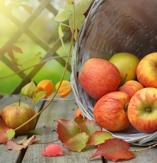 Ma cure détox d&rsquo;automne
