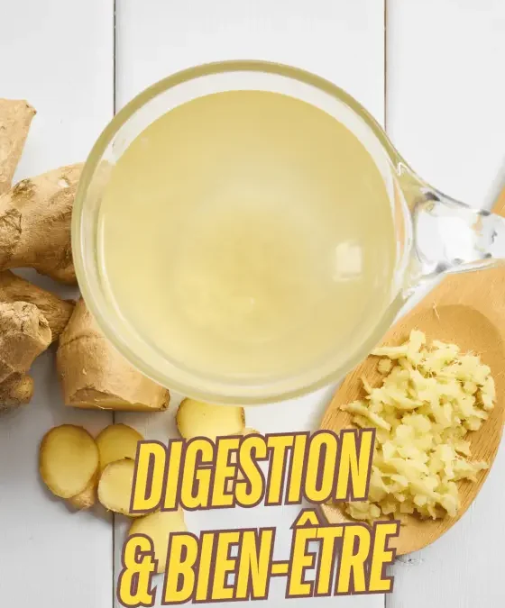 Digestion & Bien-être : La Clé Naturelle du Rééquilibrage Alimentaire